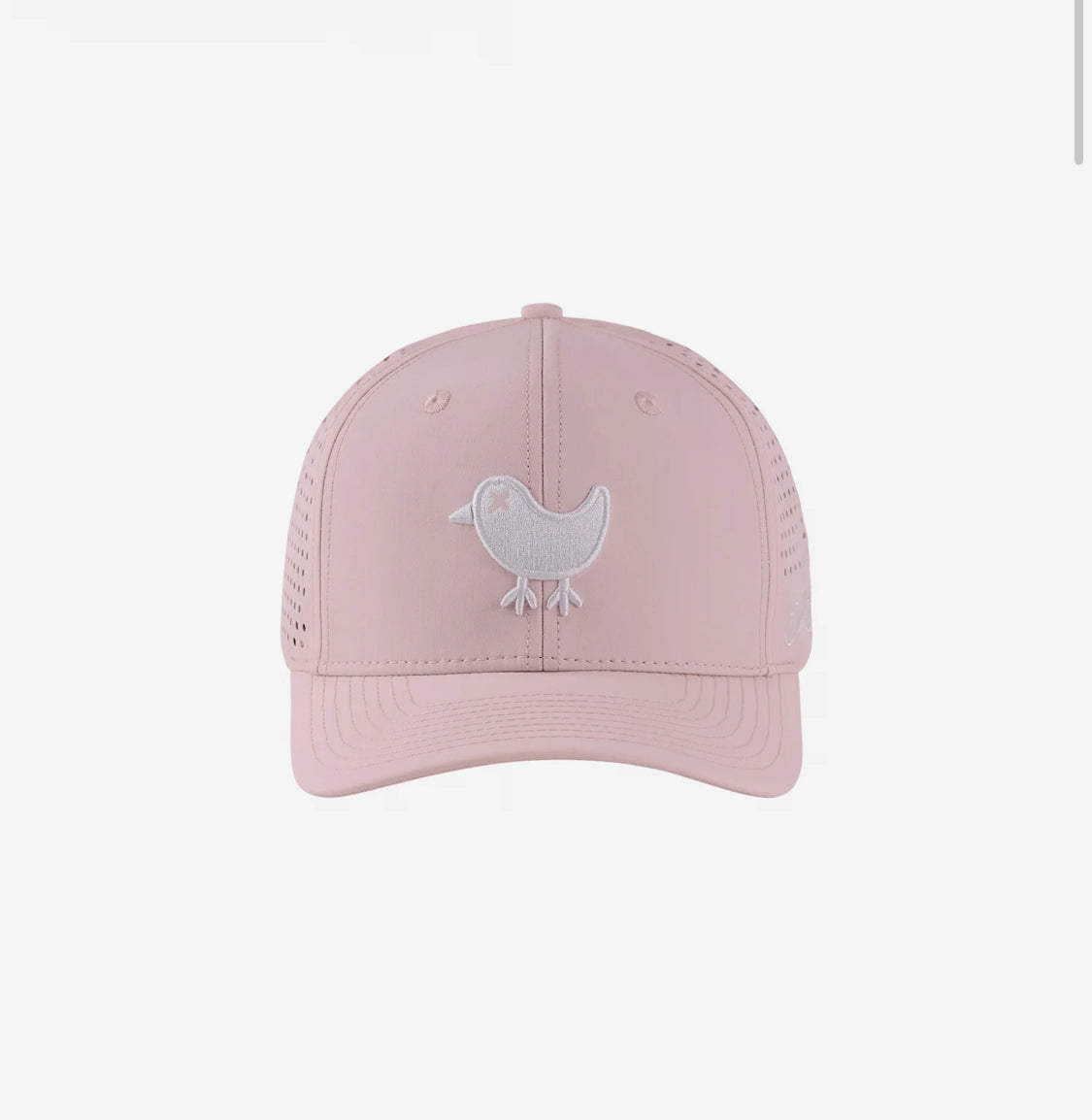 BAD BIRDIE - Birdie SnapBack