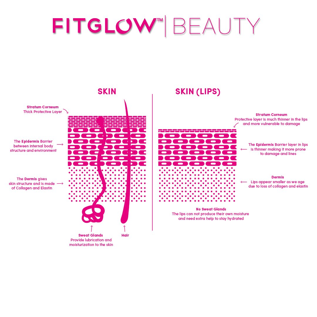 Fitglow Beauty Lip Colour Serum - ROSE