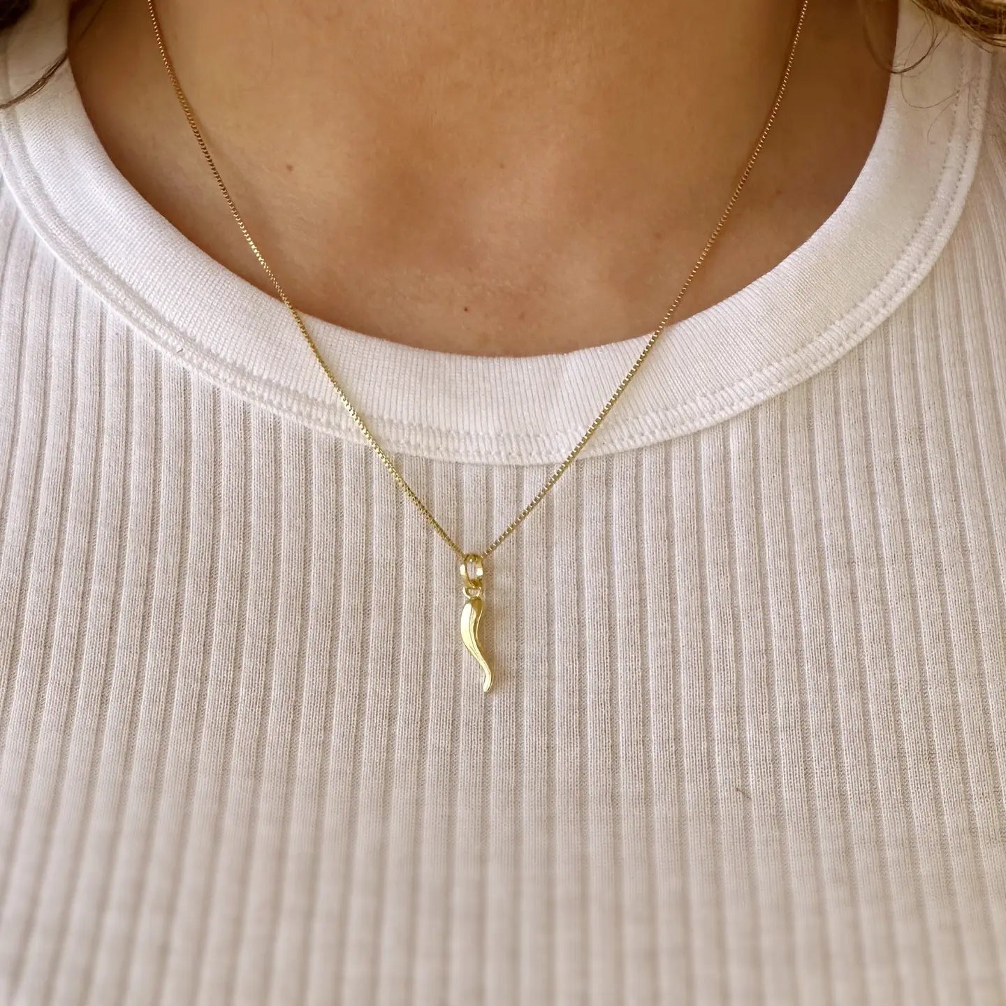 18K Gold Filled - Good Luck Horn Necklace