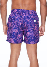 Load image into Gallery viewer, BOARDIES - Palms

